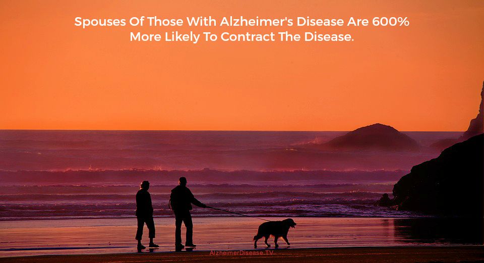 prevent Alzheimer's disease